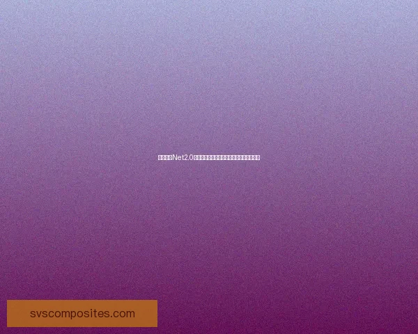 如何通过Net2.0下载实现高效资源获取与管理技巧详细解析